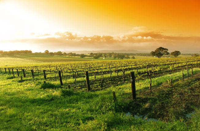 winetourmap_hdr