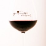 FritzPhotoYHWine13-174x300