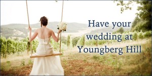 Youngberg Hill Wedding